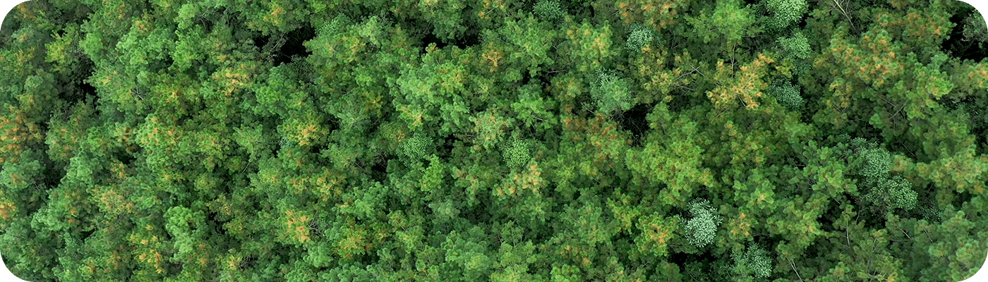 For a better world For a better planet